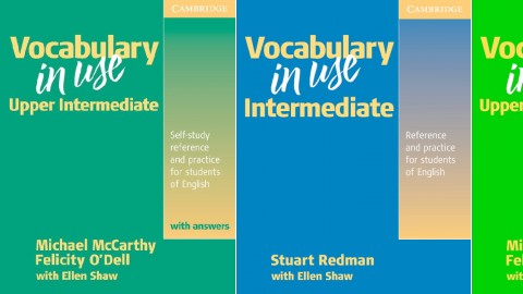 Vocabulary in Use Vocabulary in Use
