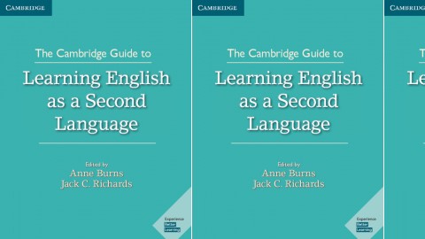 The Cambridge Guide to Learning English as a Second Language