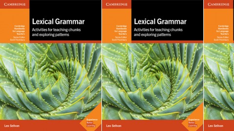 Lexical Grammar - Activities for Teaching Chunks and Exploring Patterns Lexical Grammar - Activities for Teaching Chunks and Exploring Patterns