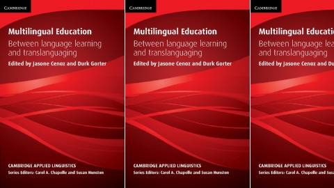 Multilingual Education - Between Language Learning and Translanguaging Multilingual Education - Between Language Learning and Translanguaging