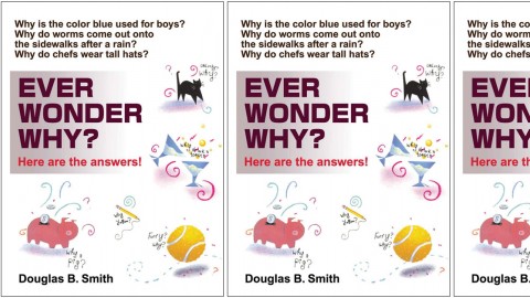 Ever Wonder Why? Ever Wonder Why?
