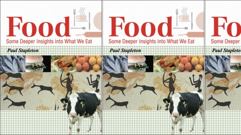 Food - Some Deeper Insights into What We Eat