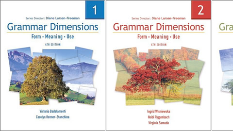 Grammar Dimensions Fourth Edition