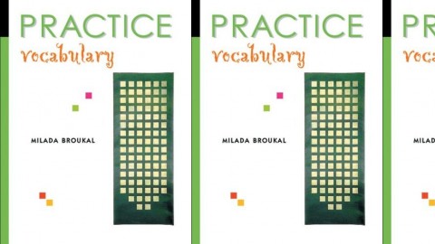 Practice Vocabulary