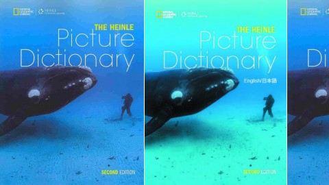 The Heinle Picture Dictionary (2nd Edition)