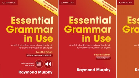 Essential Grammar in Use Fourth edition