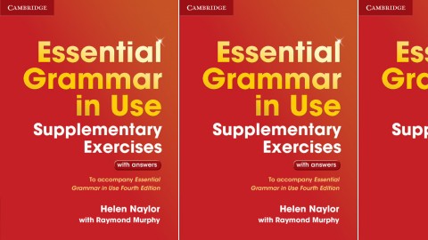 english grammar in use supplementary exercises 3rd edition pdf english grammar in use supplementary exercises 3rd edition pdf