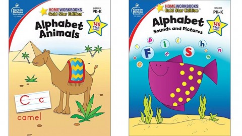 Home Workbooks (Gold Star Edition) Home Workbooks (Gold Star Edition)