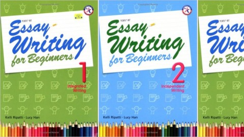 Essay Writing for Beginners