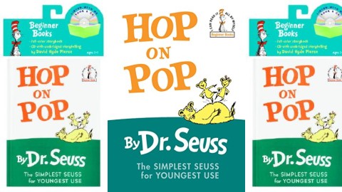 Hop On Pop