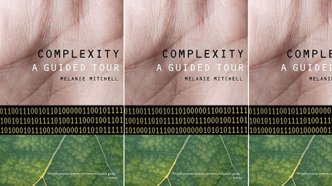 Complexity: A Guided Tour