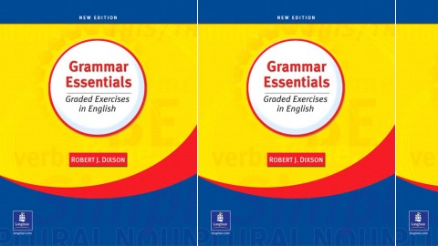 Grammar Essentials: Graded Exercises in English