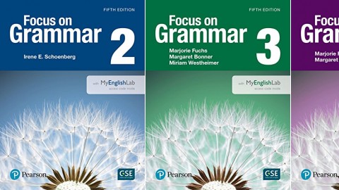 Focus on Grammar (5th Edition)