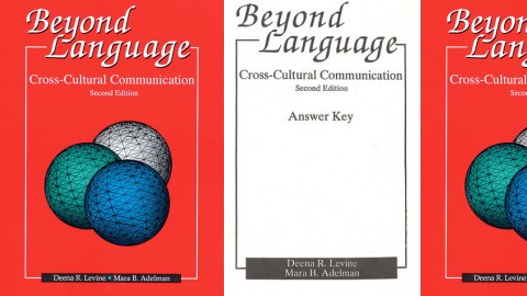 Beyond Language: Cross-Cultural Communication