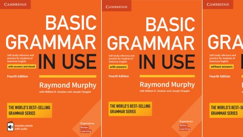 essential grammar in use fourth edition pdf