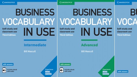 Business Vocabulary in Use: Third edition