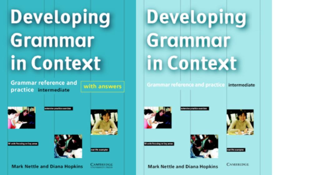 developing grammar in context
