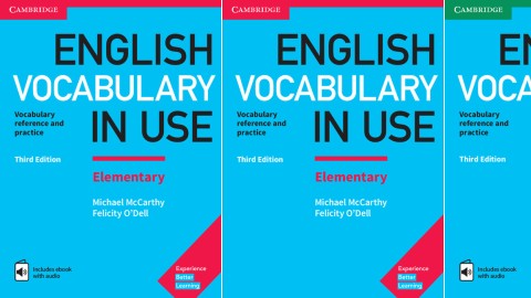 English Vocabulary in Use: 3rd Edition