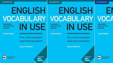 English Vocabulary in Use: 4th Edition