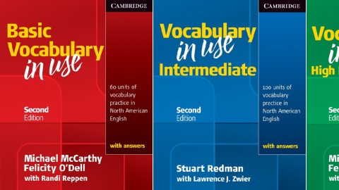 Vocabulary in Use Second Edition