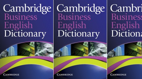 Cambridge Business English Dictionary