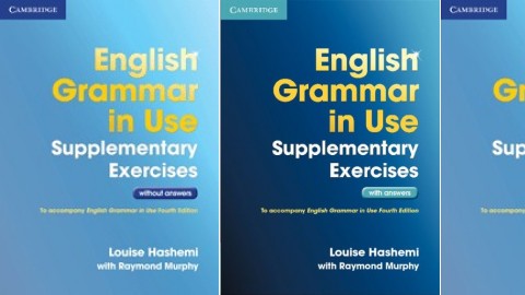 English Grammar in Use Supplementary Exercises 3rd Edition