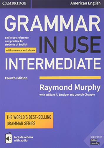 Grammar in Use Intermediate: 4th Edition